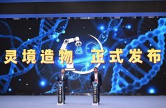 处理青年人才缺乏高端研究东西